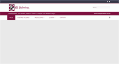 Desktop Screenshot of elsalmista.com.mx